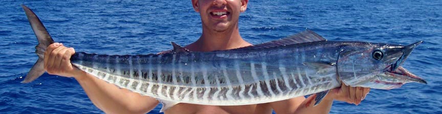 A wahoo, the fast ocean fish the club is named for